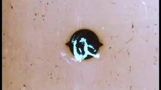 Time-Life Video Logo (1984)
