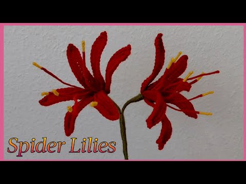 Crochet Spider Lilies