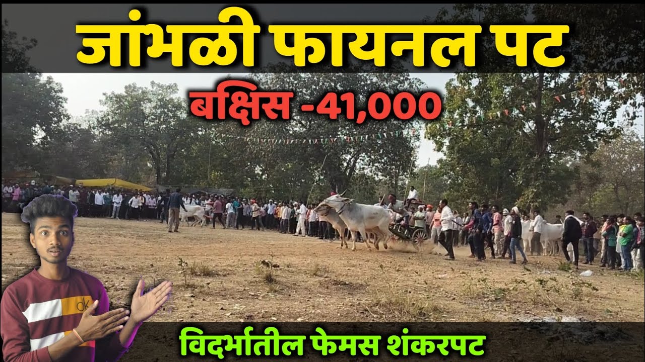 जांभळी फायनल पट || Jambhli Final Pat || Jambhli Shankar Pat || Khamba Jambhli Pat || Jambhli Pat 