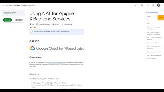 Qwiklabs | Using NAT for Apigee X Backend Services [GSP907]