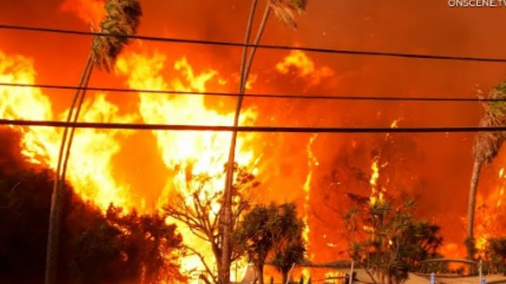 Structure Burn As Palisades Fire Explodes 1,200+ Acress