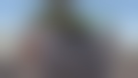 Birthday Roamages w/ F1K