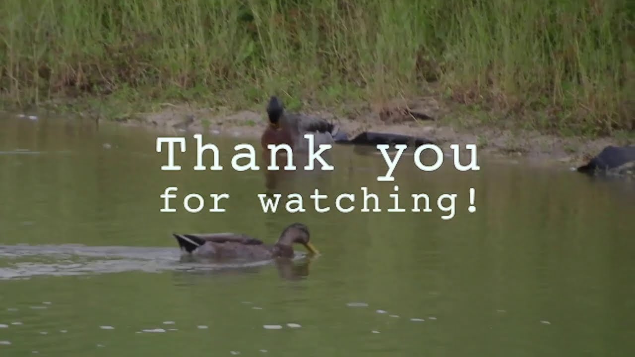 Nature Photography Demo Reel