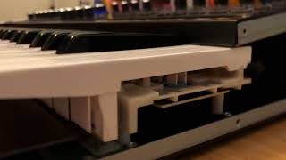 ASM Hydrasynth - Internal view of the polyphonic aftertouch key action