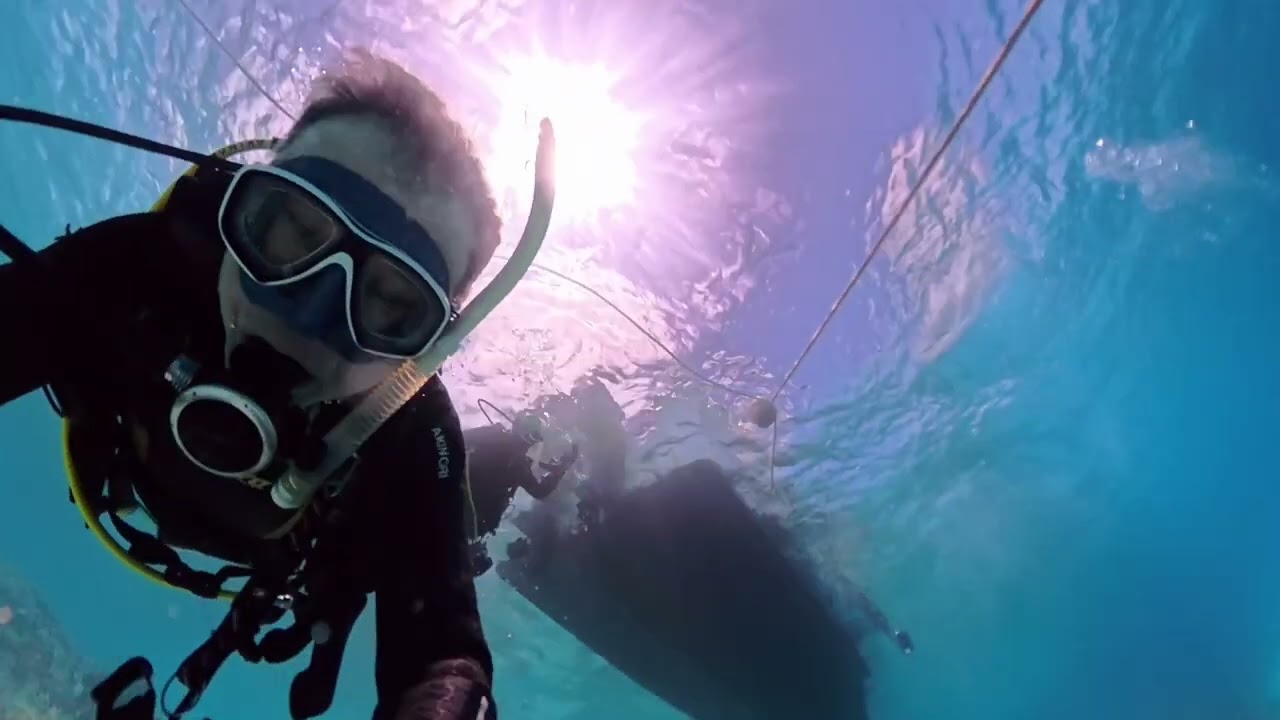 ダイビング ZXDIVING(ジーエックスダイビング)＠PADI
