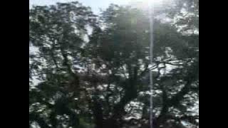 Lahirnya sebuah puisi-Ramli Sarip