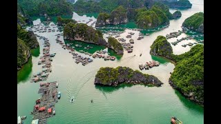 Famous Discover the Hidden Charm of Vung Vieng Fishing Village in Bai Tu Long Bay! Net Worth