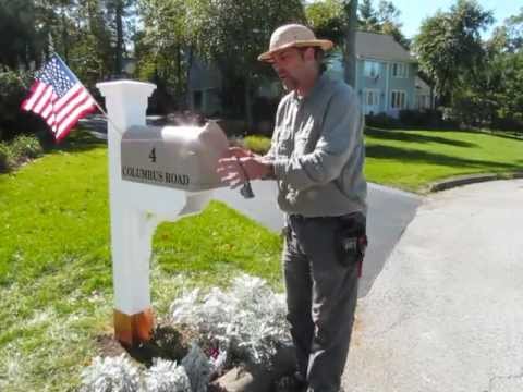 Video: Mailboxes (52 Photos): Forged Street, American And Other Mailboxes. Their Installation On A Fence And A Gate. Beautiful Models For The Home