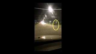 susulan vidio gajah mengamuk di kota tinggi