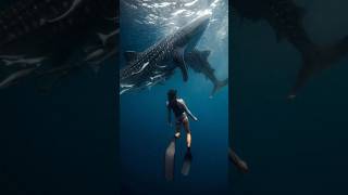 One Whale Heartbeat Will Shock You! 🐋😳