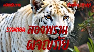 รวมตอน : สองพรานผจญภัย - บทประพันธ์ : ป.ปฐวี #ป่าเขา #ป่าอาถรรพ์ #เสือสมิง #นั่งห้าง