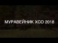 МУРАВЕЙНИК ХСО 2018 09.09.2018