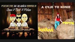 KALWI & REMI, DIIYA - A Cyje To Konie x POPEK - Welcome In The Hell REMIX 