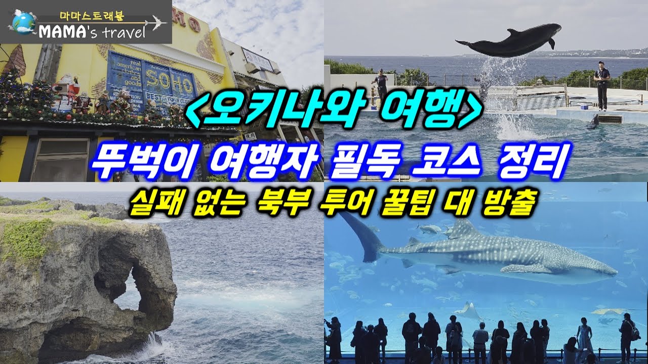 #410 [일본 여행] 오키나와 뚜벅이 주목/렌트 없이 오키나와 정복하기/북부 여행 하루만에 끝내기/츄라우미 수족관부터 코우리대교까지 가성비 끝판왕 투어
