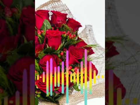 ريم السواس ولادك بديعة 10 جديد 2024