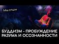 Мы спим. Пробуждение разума и осознанности в Буддизме. Пробуждение и Просветление на духовном пути