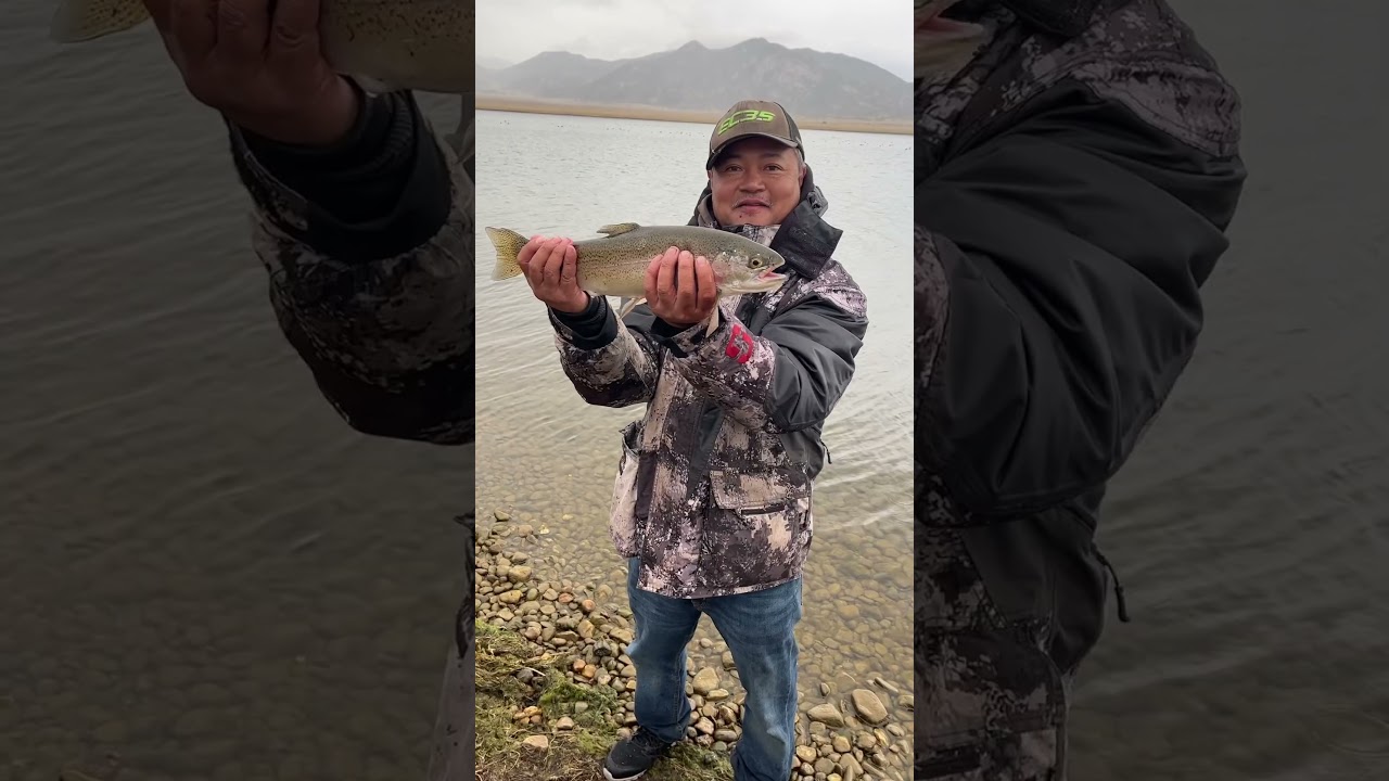 The Beauty Of 11 Mile Reservoir In Lake George, Colorado: Amazing Trout: 