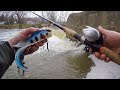 MUSKY FISHING FROM SHORE!! - Late Winter River Muskies
