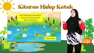 SAINS TAHUN 2 :KITARAN HIDUP KATAK