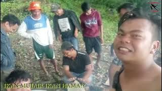 IKAN MUJAIR IKAN HAMA??? LAGI VIRAL HOTMAN PARIS HUTAPEA