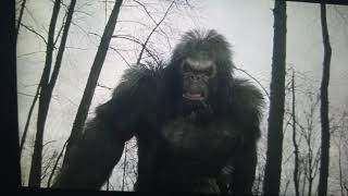 BIGFOOT DEEP IN THEM WOODS the DREW THOMAS STORY