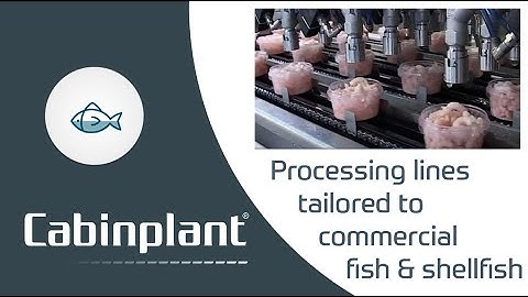 Cabinplant Packaging Line for Seafood