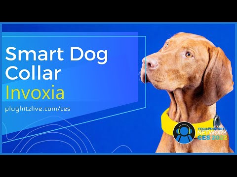 Invoxia Smart Dog Collar: Get smarter about your dog's health @ CES 2022
