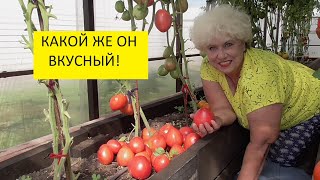 Лучшие томаты! Томат Мамино малиновое сердце урожайный, вкусный, красивый! №314.