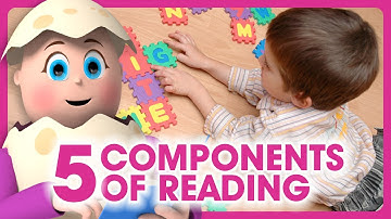 The Five Essential Components of Reading | Reading Eggs Online Program | Learn to Read