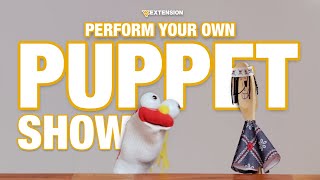 How to Perform the Best Puppet Show Ever!