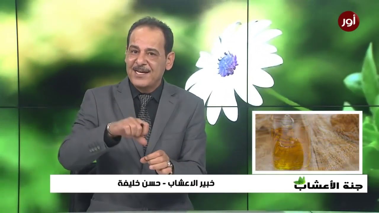 كل ما تريد أن تعرفه عن فوائد زيت جنين القمح مع خبير الاعشاب حسن خليفة - جنة الاعشاب