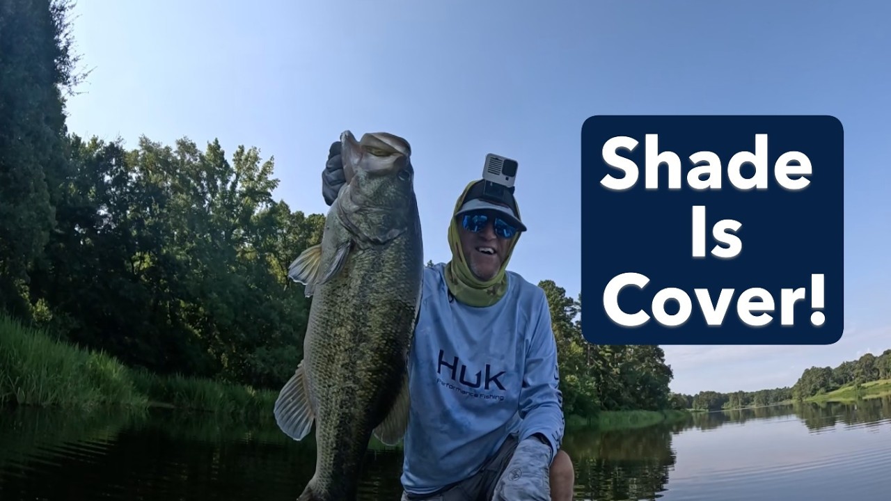 Bass Fishing 202-Lesson 136: Shade Is Cover