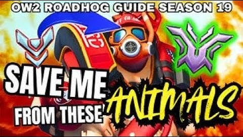 Ultimate Roadhog Guide - Gamesense and Fundamentals | Overwatch 2 Educational 