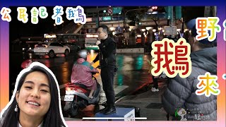 1100104［公民記者鵝］野台鵝來了