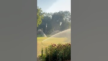 Replace Sprinkler Head in 5 Mins - Easy DIY Fix #experiment #sprinklers #sprinklersystem #waterworks