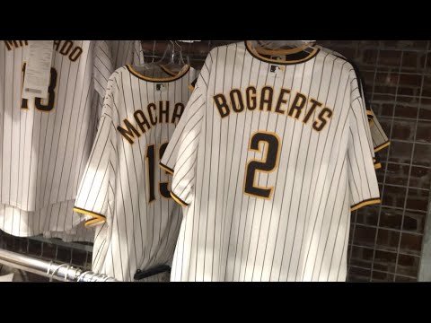 xander bogaerts jersey youth