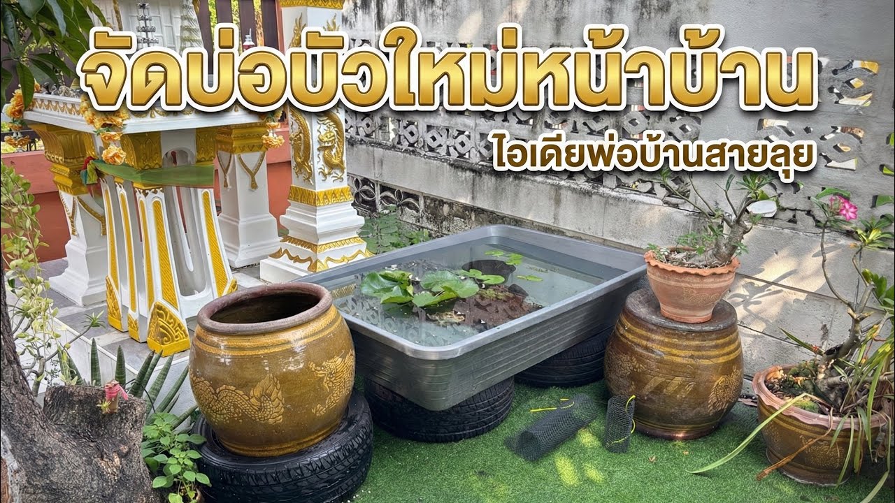 พาชมบ่อบัวและบ่อปลาหน้าบ้าน มุมพักผ่อนใหม่ของพ่อบ้าน