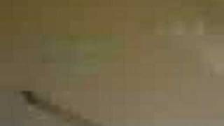 Zgl Lisesi,Zgl,Diyarbakır.sonkezz