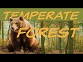 Temperate Forest Biome Quiz