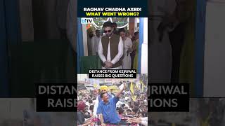 AAP Drops Raghav Chadha Amid Silence: No Support For Kejriwal Sparks Big Political Buzz Wealth