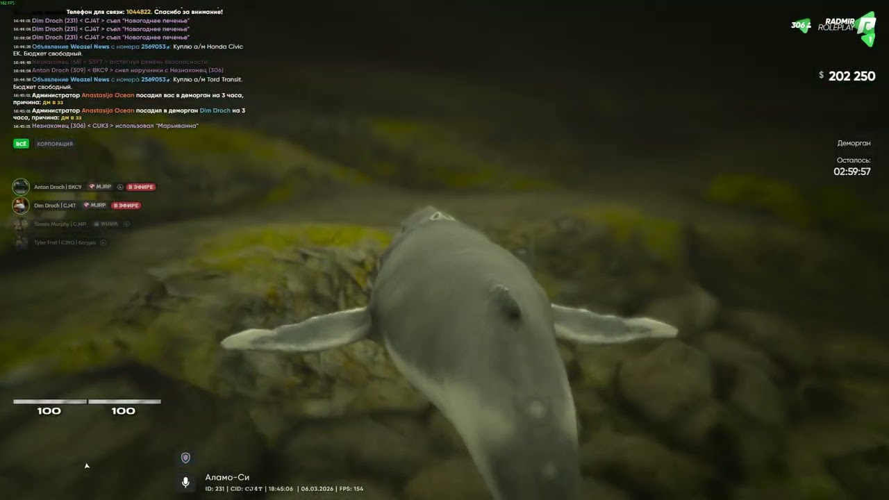 дм зз а где?