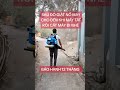 Tét máy thổi lá chạy xăng 4 thì #maythoila