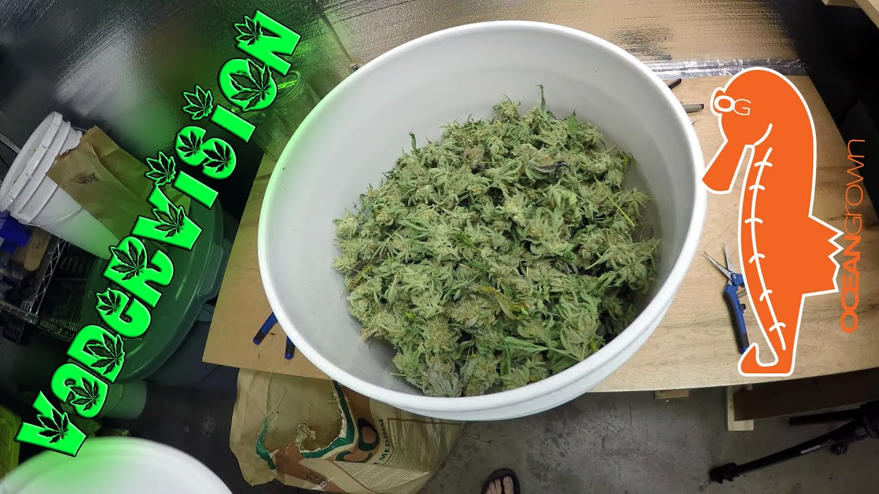 Organizing the Grow Op!