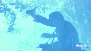 A Dinosaur Attacks The Lost World