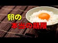 【知って得する雑学】食べ物の雑学４選