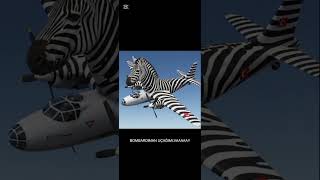 Bombardera Zebzebra