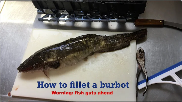 How to Fillet a Burbot