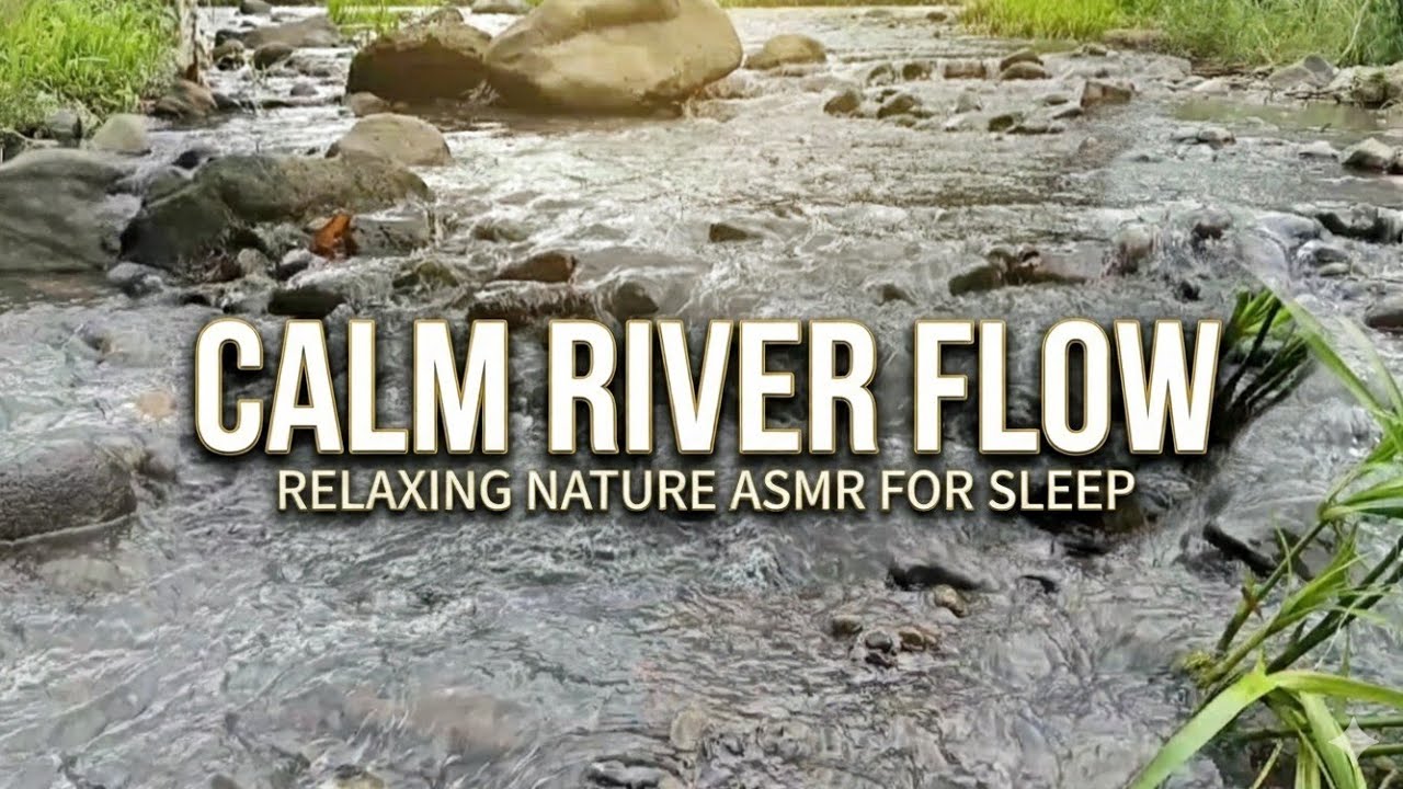 Rocky river flow, nature white noise for study, work & meditation