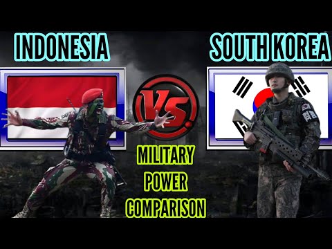 INDONESIA VS SOUTH KOREA - Military Power COMPARISON 2021 - SOUTH KOREA VS INDONESIA