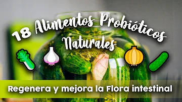 ¿Qué bebidas tienen un alto contenido en probióticos?